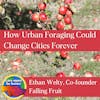 Episode image for Ethan Welty On How Urban Foraging Could Change Cities Forever