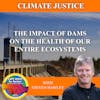 The Impact Of Dams On The Health Of Our Entire Ecosystems With Steven Hawley
