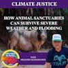 How Animal Sanctuaries Can Survive Severe Weather And Flooding With Helbard Alkhassadeh