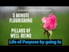 Seven Pillars of Well-Being  - 5 Minute Flourishing