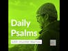 February 19th, 2024 Psalms