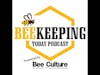 HiveTracks: Bees as Biosensors with James Wilkes and Max Rünzel (S5, E37)