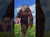 Bigfoot Encounter in 1970s California #shorts