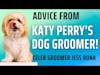 Katy Perry's Dog Groomer Gives Grooming Advice Pet Parents Should Know