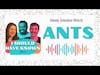 Ants - Which ant-fact is wrong? - Animal Kingdom Month
