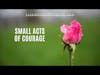 Small Acts Of Courage