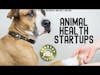 Animal Health Startups