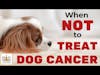 When Not to Treat Dog Cancer │ Dr. Demian Dressler Deep Dive