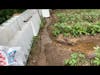 Dealing With Flooded Vegetable Gardens