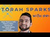 When There’s a Will, There’s a Way - Parshas Bo (The Torah Sparks Podcast VIDEO VERSION)