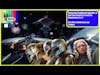 A Penultimate Trek to Mandalore! | The Mandalorian | Star Trek: Picard | Star Wars Celebration | SNN