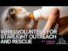 Starlight Outreach and Rescue Volunteer Testimonial - Taryn Avery