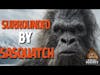 Screaming Sasquatch All Around Me in The Alaska Rainforest / Bigfoot Encounter