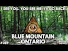 Chased by 3 Bigfoot in Ontario | Bigfoot Society 389