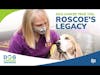 Dog Cancer True Tail: Roscoe's Legacy | Renée Michael