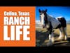 Celina Texas Real Estate Ranch Life 3