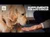 Supplements for Dogs with Cancer | Dr. Demian Dressler Deep Dive