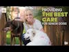 Providing the Best Care for Senior Dogs | Dr. Mary Gardner