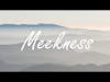 Characteristics of Kingdom Citizens: Meekness Ep# 115