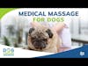 Medical Massage for Dogs | Dr. Narda Robinson