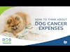 How to Think About Dog Cancer Expenses | Dr. Lauren Barrow