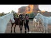 Sedona Horse Medicine - A TrueNorth Journey