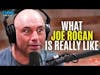 What Joe Rogan is really like - Michael Yo talks about being a guest on the Joe Rogan Experience
