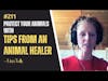#211 Lisa Tully - Protect your Animals with Tips from an Animal Healer