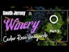 South Jersey Wineries pt3 🍇 Mentors & Partners