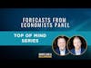 Top of Mind: Forecasts from Economists Panel
