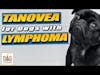 Tanovea for Dogs with Lymphoma │ Dr. Demian Dressler Q&A