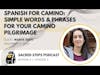 S2:E15 Spanish for Camino | Words & Phrases for your #Camino Pilgrimage