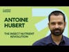Ynsect - Lessons from building the World's largest insect farming company with CEO Antoine Hubert