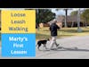 Loose Leash Walking - First Lesson