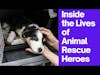 Inside the Lives of Animal Rescue Heroes