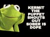 Kermit the Puppet and Froggy Friends supports Sober Life and Sober is Dope #short