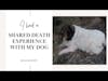 I Had a Shared Death Experience With My Dog | Surviving to Thriving