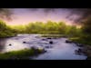 Relaxation - River and Bird Song