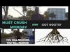 Got Roots? Motivational Video | MCM S1E4