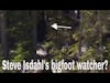 Steve's Isdahl's bigfoot watcher?? Check it out.