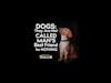 Dogs: They Are Not Called Man’s Best Friend For Nothing #shorts