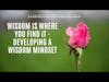 Wisdom Is Where You Find It - Developing A Wisdom Mindset