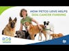 How Petco Love Helps Dog Cancer Funding | Susanne Kogut
