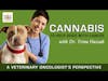 Cannabis to Help Dogs with Cancer – A Veterinary Oncologist Perspective | Dr. Trina Hazzah Deep Dive