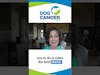 Making choices on Dog Cancer  #podcast #dogcancer #petcare #dog #doghealth