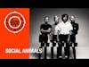 Interview with Social Animals