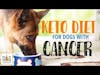 Keto Diet for Dogs with Cancer │ Dr. Demian Dressler Deep Dive