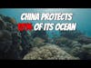 China's Dedication To Marine Conservation Revealed In Stony Brook University Study