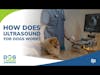 How Does Ultrasound for Dogs Work? | Dr. Adrienne Anderson