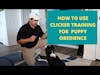 How to Use Clicker Training for Puppy Obedience